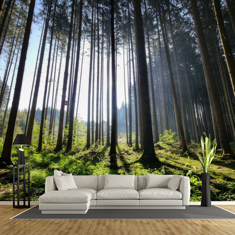 Huge Forest Mural Horizontal Photography Wall Covering for Dining Room