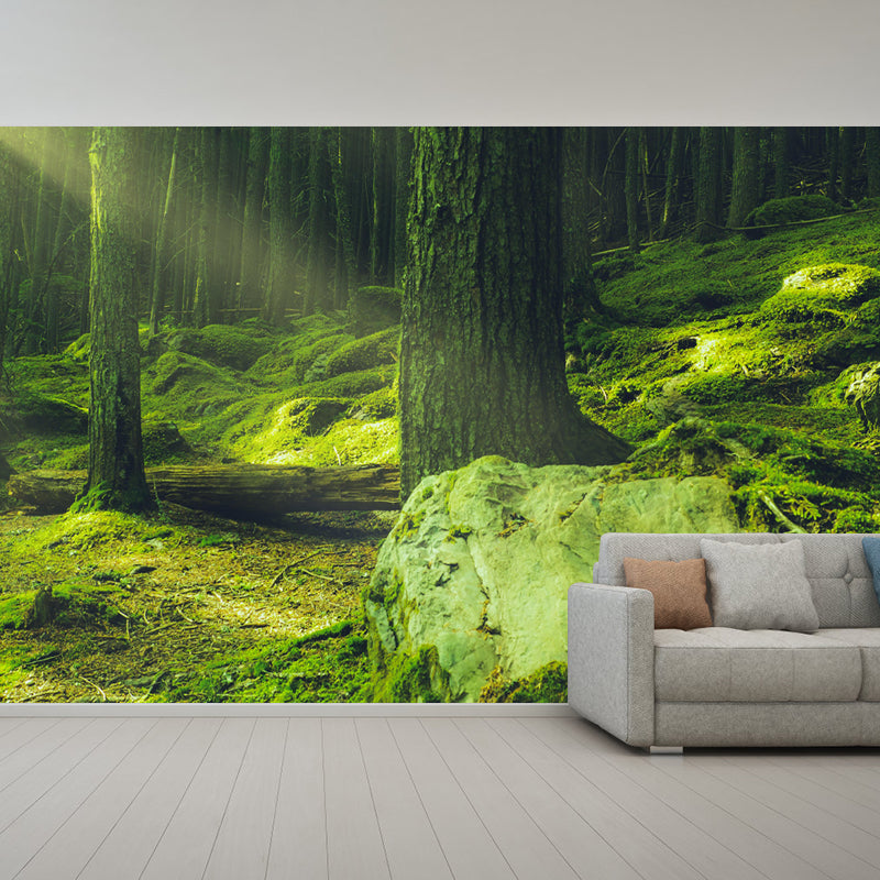 Huge Forest Mural Horizontal Photography Wall Covering for Dining Room