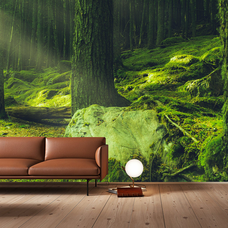 Huge Forest Mural Horizontal Photography Wall Covering for Dining Room
