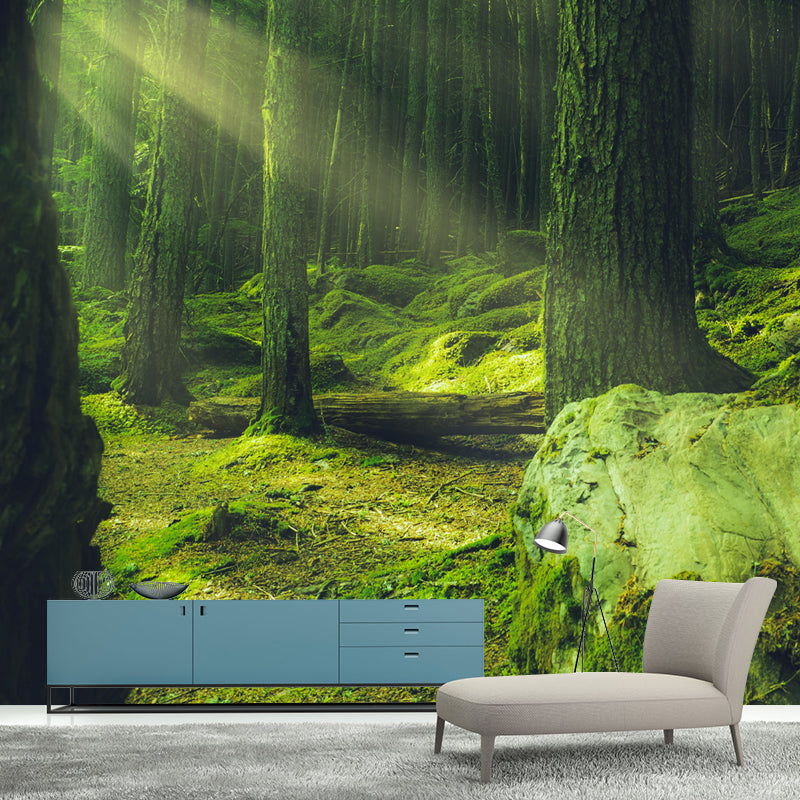 Huge Forest Mural Horizontal Photography Wall Covering for Dining Room