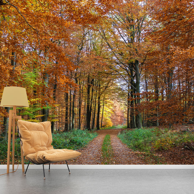 Forest Wall Mural Decor Horizontal Photography Eco-friendly for Decoration