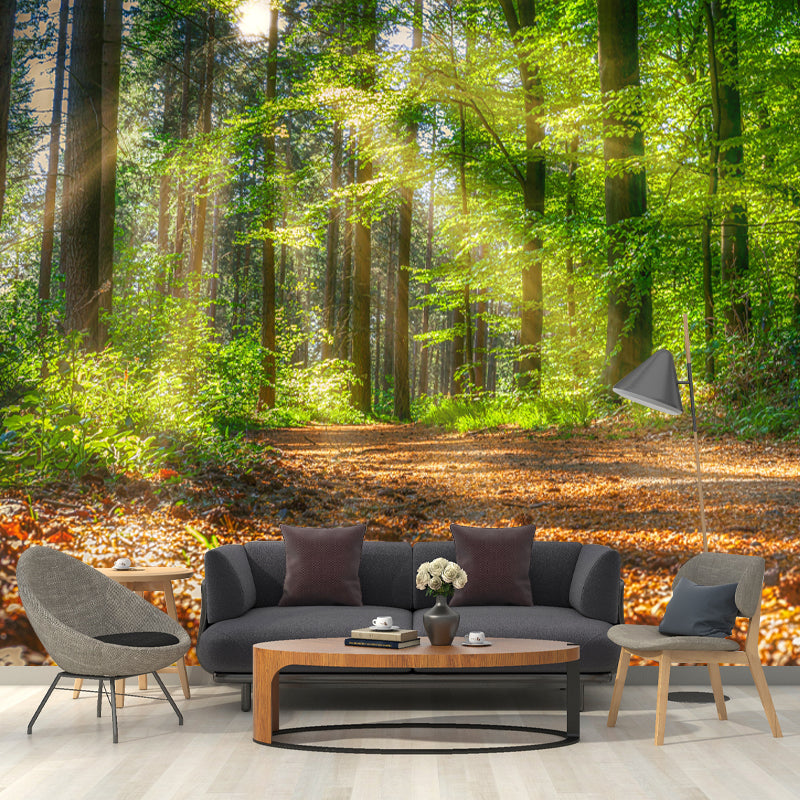Forest Wall Mural Decor Horizontal Photography Eco-friendly for Decoration