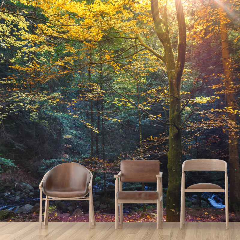 Forest Mural Mildew Resistant Contemporary Wall Covering for Dining Room