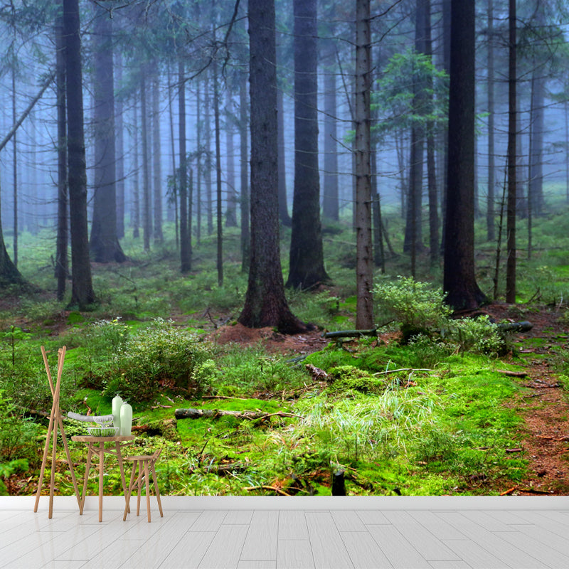 Huge Forest Mural Horizontal Photography Wall Covering for Living Room