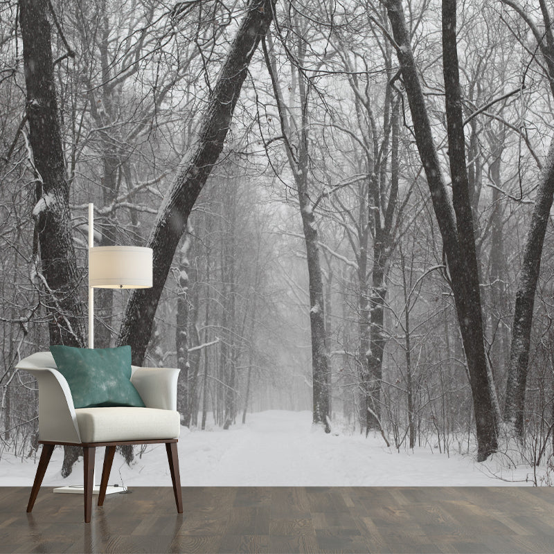 Modern Forest Wall Mural Decor Horizontal Photography Eco-friendly for Decoration