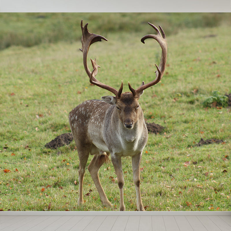 Lifelike Deer Animal Mural Moisture Resistant Living Room Wall Covering