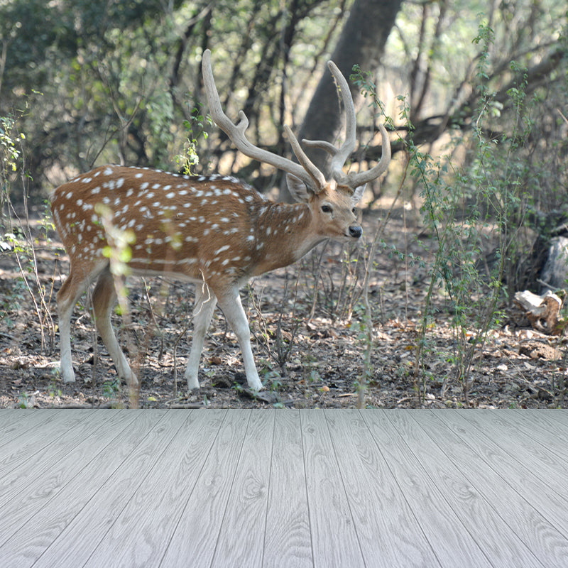 Lifelike Deer Animal Mural Moisture Resistant Living Room Wall Covering