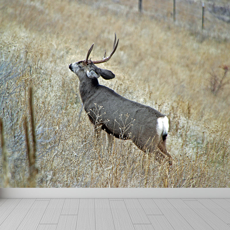 Deer Animal Wall Mural Wallpaper Photography Horizontal Wall Decor for Home