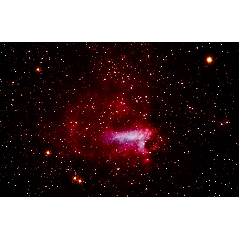 Starry Night Scenery Mural Wallpaper for Sitting Room, Custom Size Available