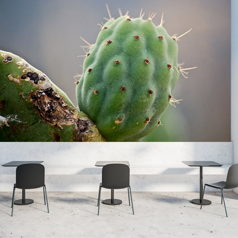 Tropical Cactus Removable Wall Mural for Reading Room, Made to Measure