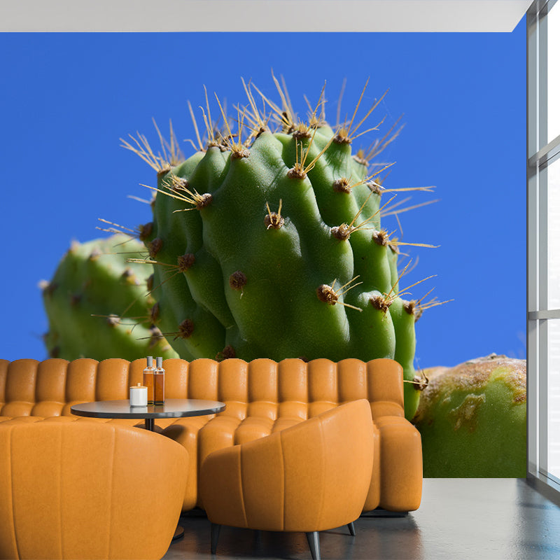 Tropical Cactus Removable Wall Mural for Reading Room, Made to Measure