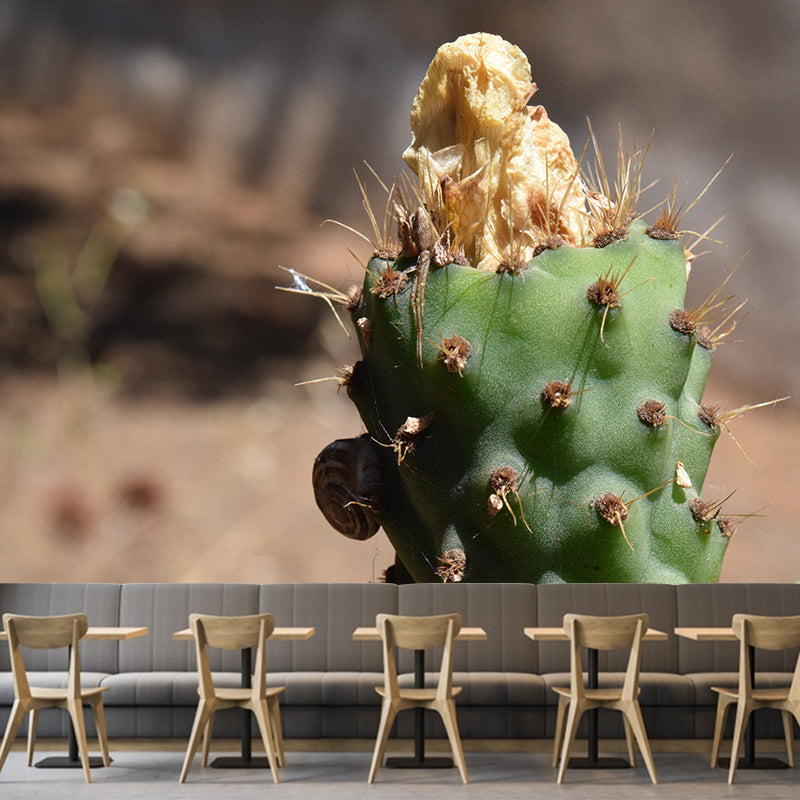 Tropical Cactus Removable Wall Mural for Reading Room, Made to Measure