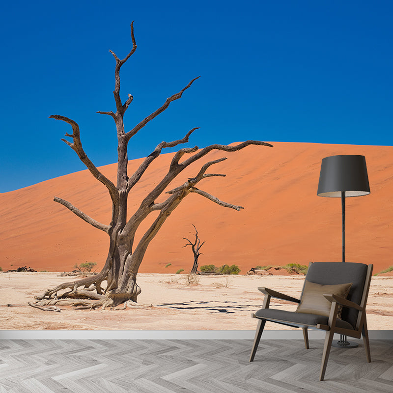 Desert Scenery Removable Wall Mural for Living Room Bedroom, Made to Measure