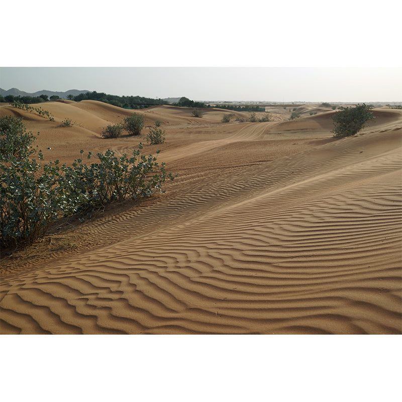 Desert Scenery Mural Wall Paper Home Decorations for Kitchen Livingroom