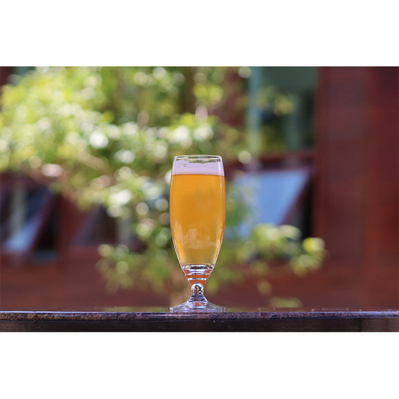 Wine Wall Mural Modern Decoration for Bar Waterproofing, Custom Size Available