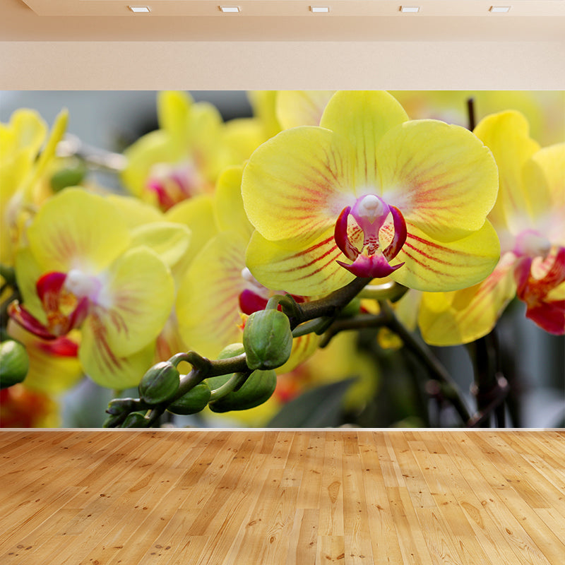 Modern Girl Room Decoration Orchid Mural Wallpaper, Custom Size Available