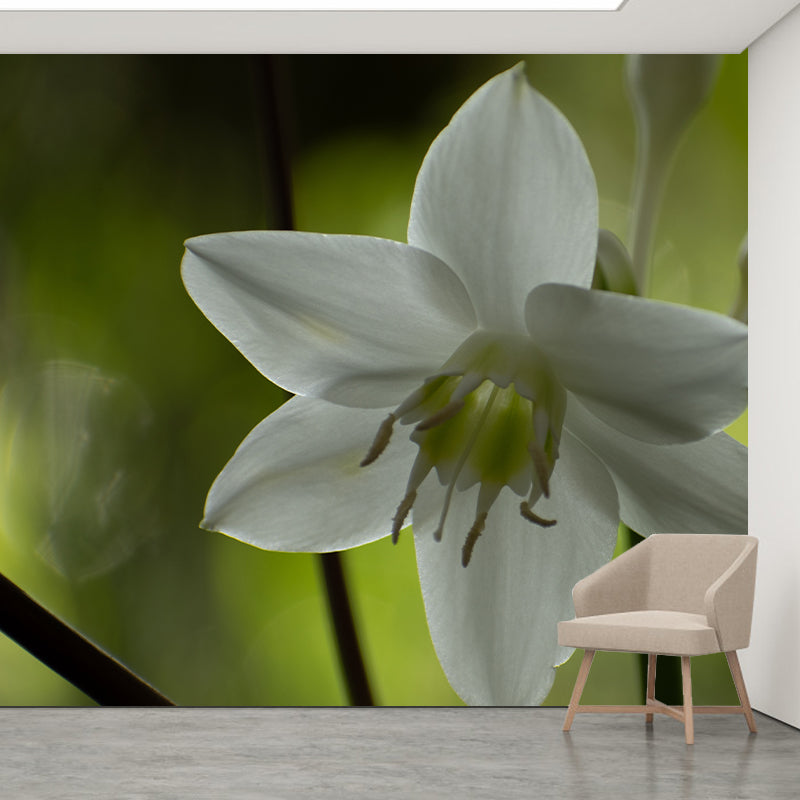 Beautiful Orchid Photo Mural Wallpaper Moisture Resistant Art, Custom Size Available