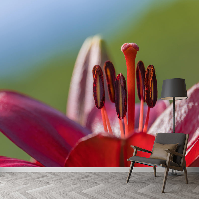 Customized Blooming Lily Mural Wallpaper Contemporary for Guest Room Decor