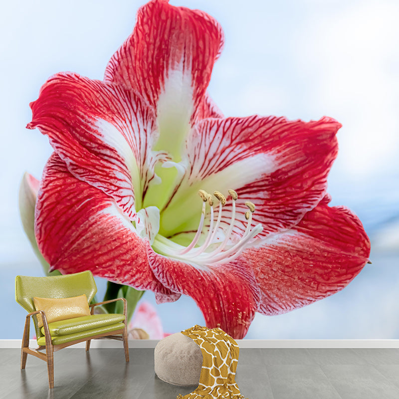 Customized Blooming Lily Mural Wallpaper Contemporary for Guest Room Decor