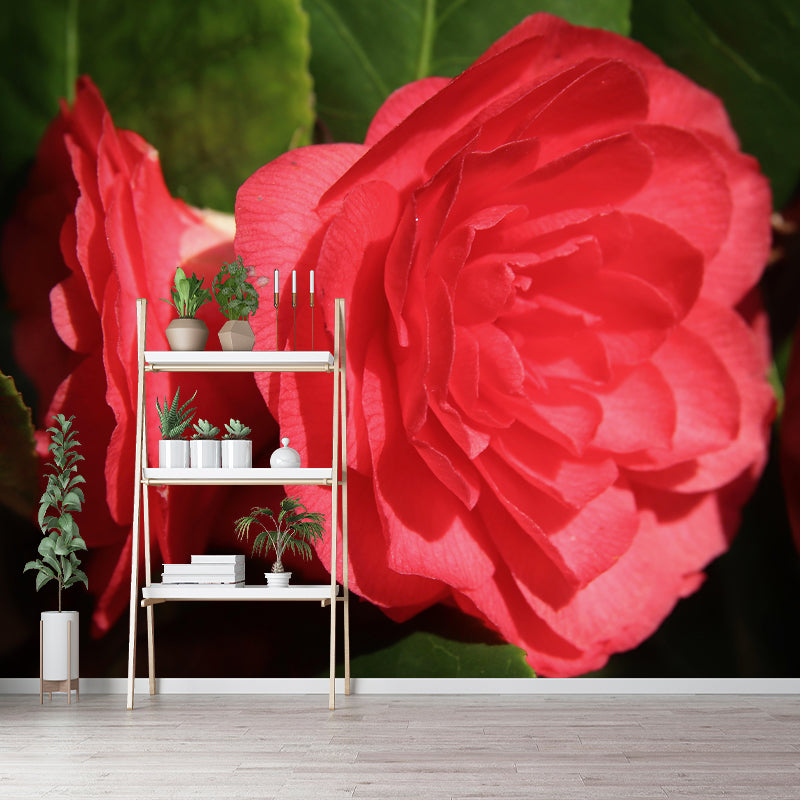 Customized Blooming Camellia Mural Wallpaper Contemporary for Guest Room