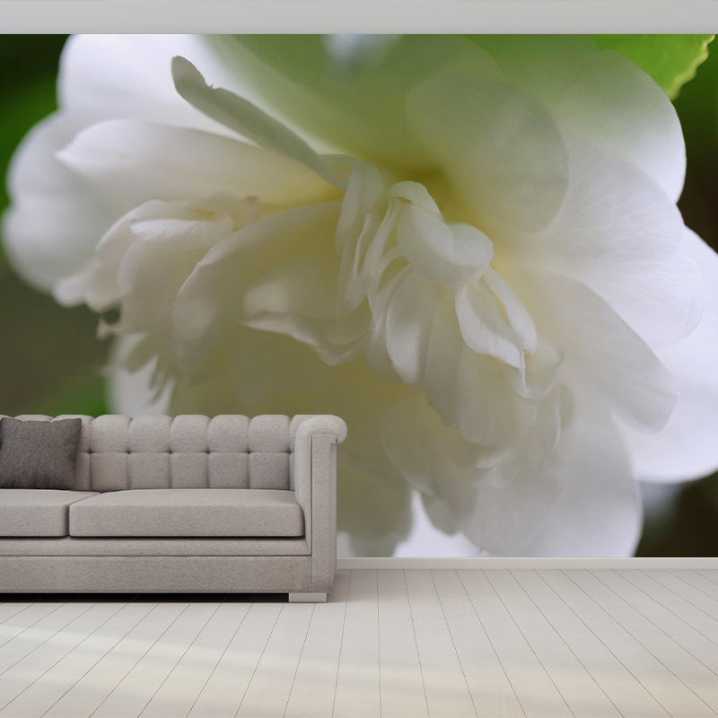 Customized Blooming Camellia Mural Wallpaper Contemporary for Guest Room