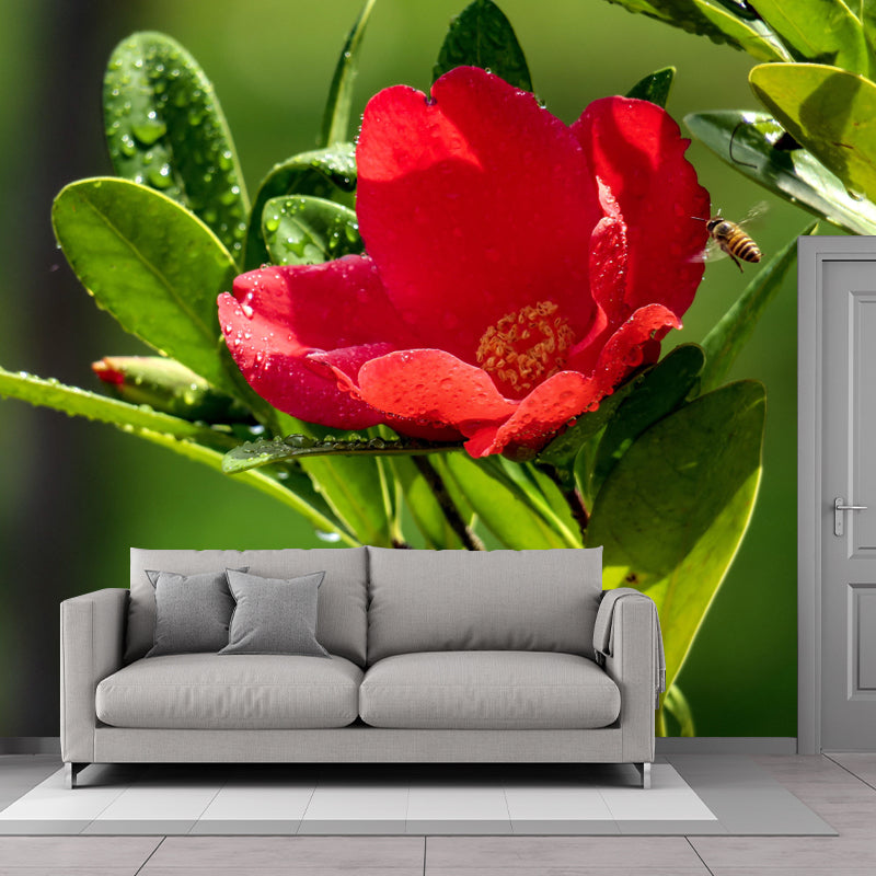 Customized Blooming Camellia Mural Wallpaper Contemporary for Guest Room