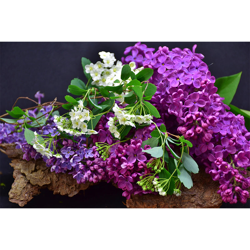 Customized Blooming Lilac Mural Wallpaper Contemporary for Guest Room Decor