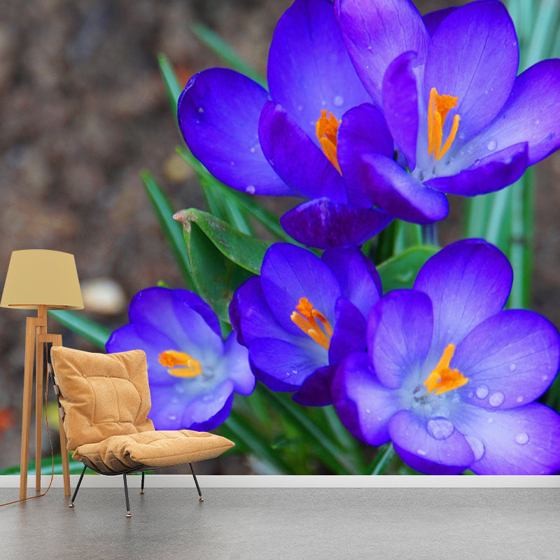 Blooming Saffron Environment Friendly Mural Wall Covering for Sleeping Room