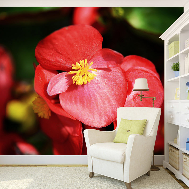 Customized Blooming Begonia Mural Wallpaper Contemporary for Guest Room Decor