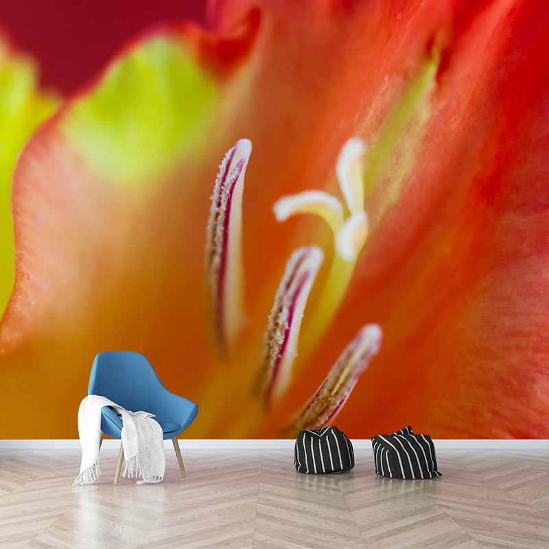 Gladiolus Wall Mural Decorative Mildew Resistant Home Decoration for Bedroom