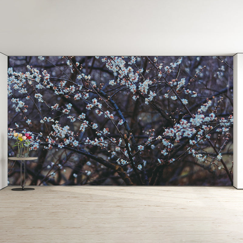 Customized Plum Bossom Mural Wallpaper Contemporary for Guest Room Decor
