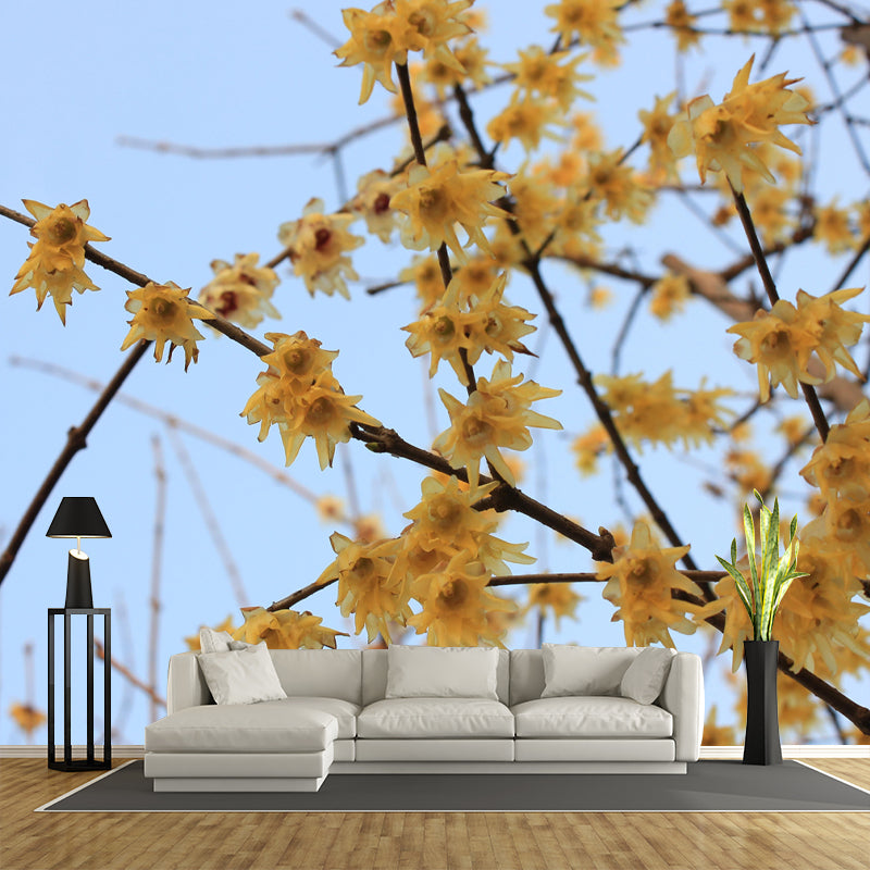 Customized Plum Bossom Mural Wallpaper Contemporary for Guest Room Decor