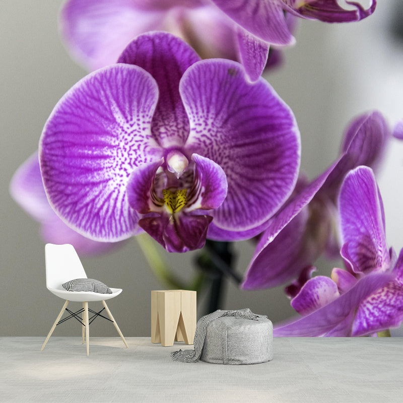 Customized Blooming Orchid Mural Wallpaper Contemporary for Guest Room Decor