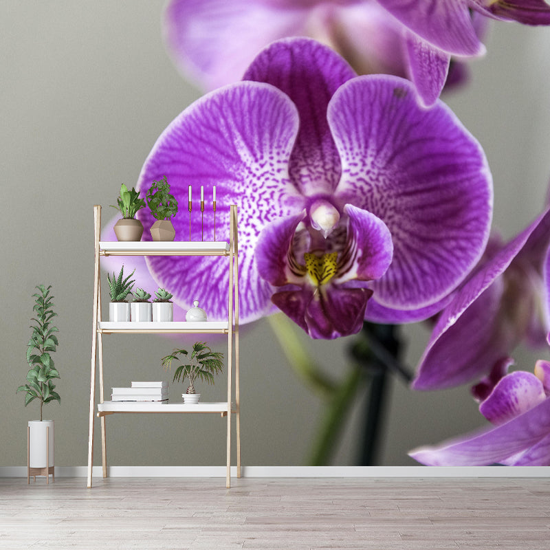 Customized Blooming Orchid Mural Wallpaper Contemporary for Guest Room Decor