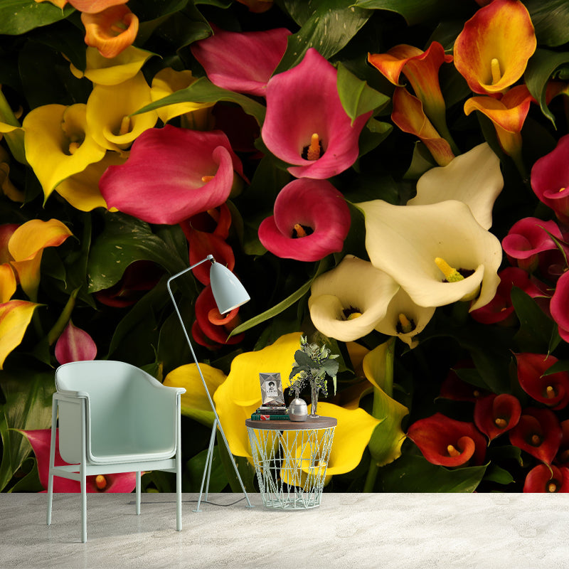 Customized Blooming Calla Mural Wallpaper Contemporary for Guest Room Decor