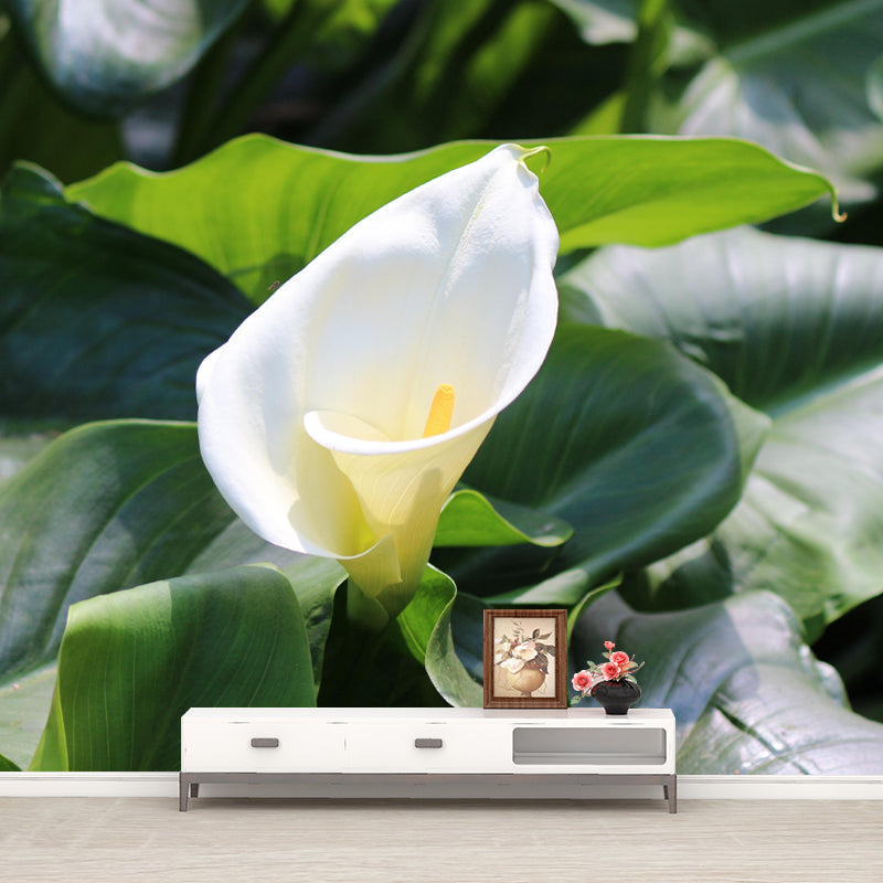Customized Blooming Calla Mural Wallpaper Contemporary for Guest Room Decor