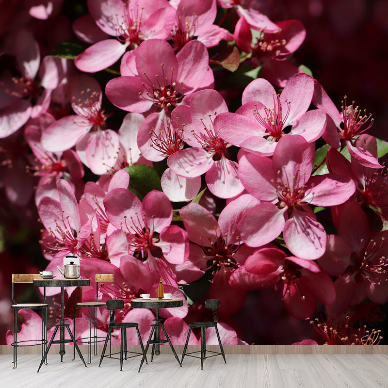 Customized Apple Blossom Mural Wallpaper Contemporary for Guest Room Decor