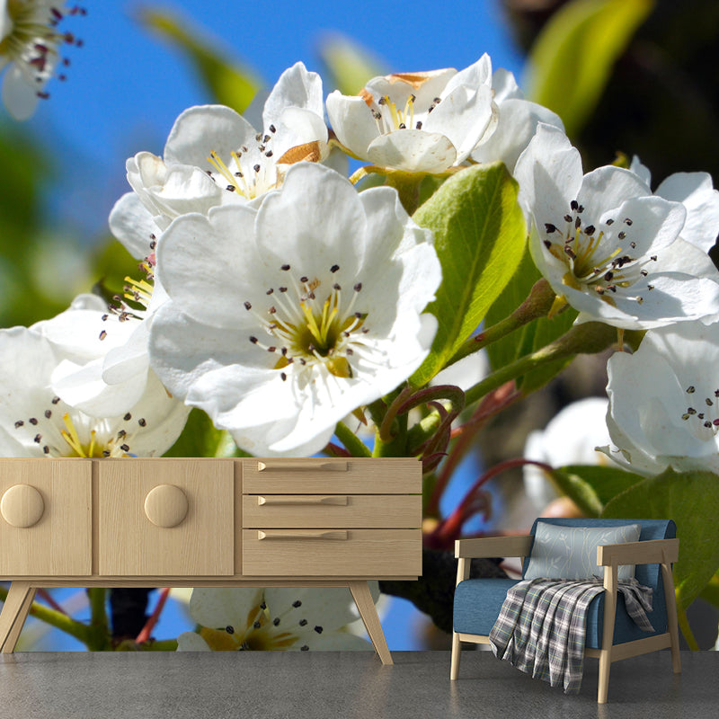 Customized Apple Blossom Mural Wallpaper Contemporary for Guest Room Decor