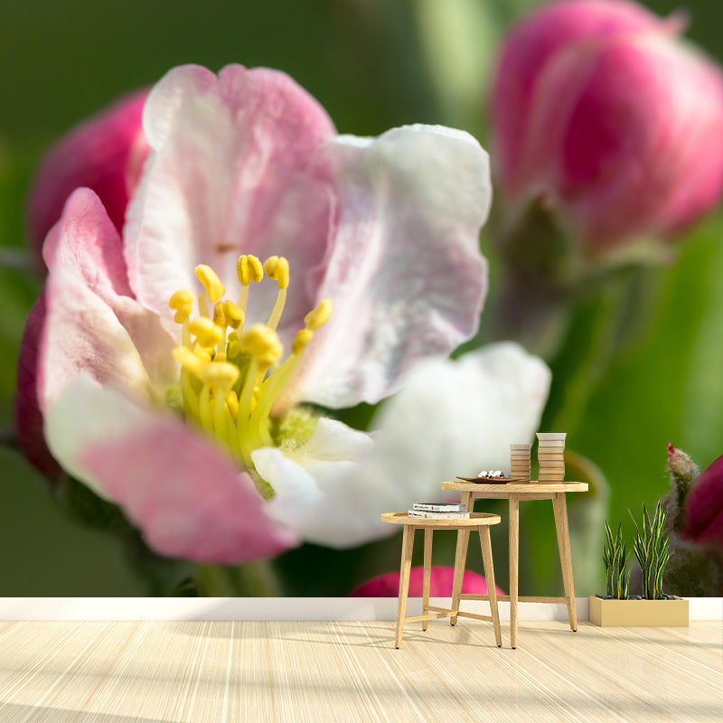 Customized Apple Blossom Mural Wallpaper Contemporary for Guest Room Decor