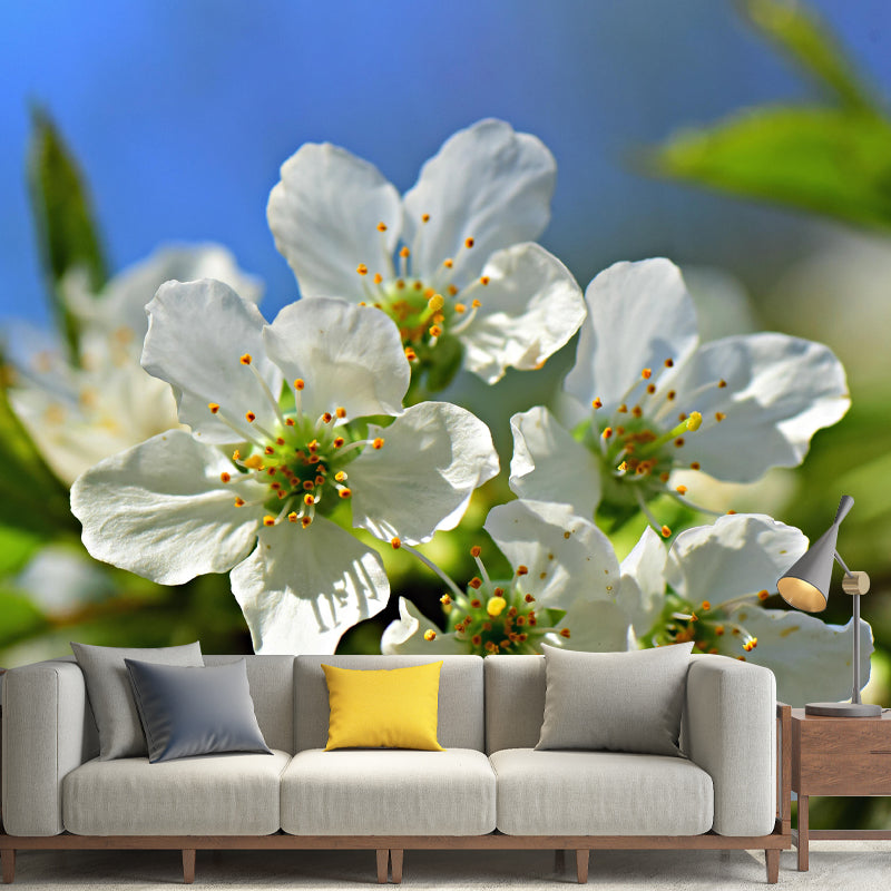 Customized Apple Blossom Mural Wallpaper Contemporary for Guest Room Decor