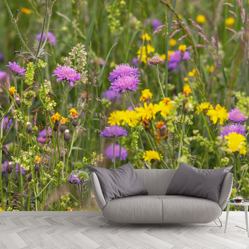 Customized Blooming Wildflowers Mural Wallpaper Contemporary for Guest Room Decor