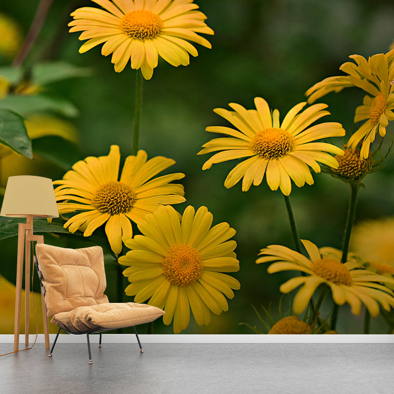 Customized Blooming Wildflowers Mural Wallpaper Contemporary for Guest Room Decor