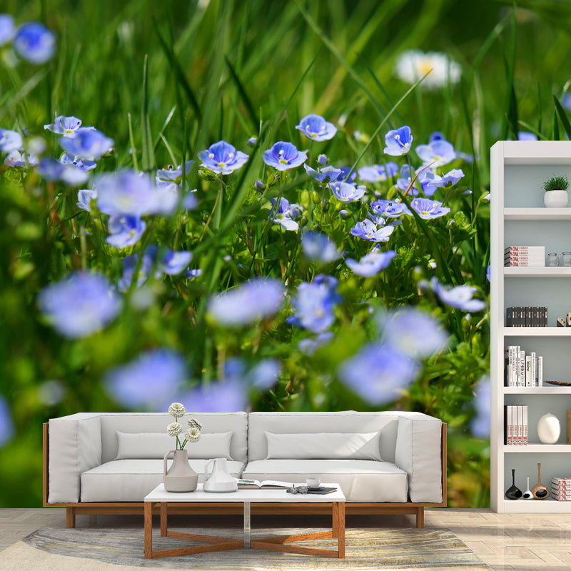Customized Blooming Wildflowers Mural Wallpaper Contemporary for Guest Room Decor