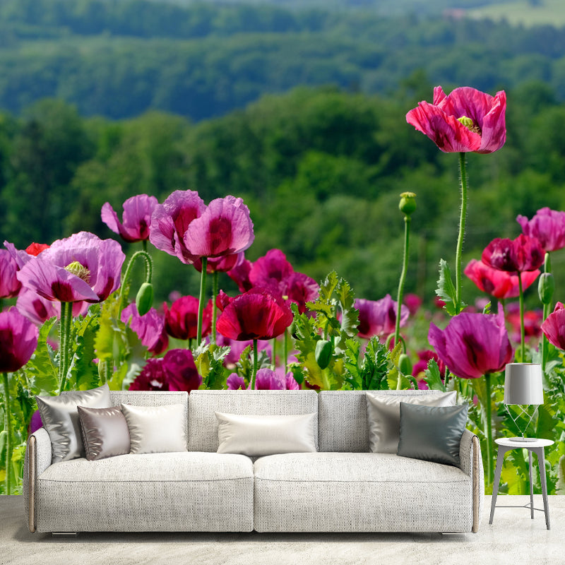 Customized Blooming Poppies Mural Wallpaper Contemporary for Guest Room Decor