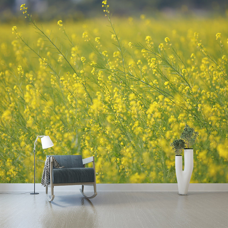 Customized Rape Blossoms Wall Mural Decal Moisture Resistant Wall Decor