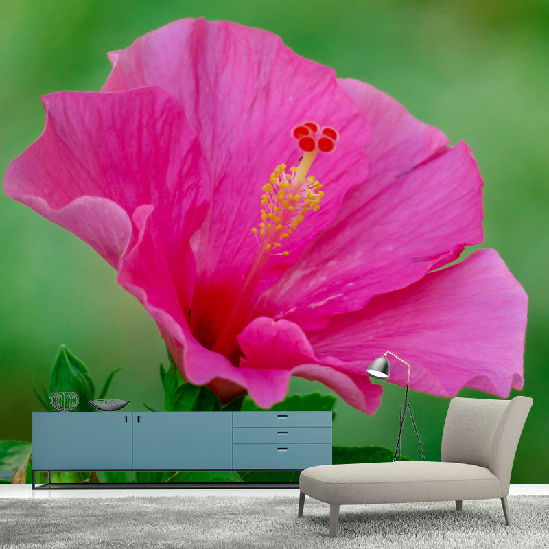 Customized Blooming Hibiscus Mural Wallpaper Contemporary for Guest Room Decor