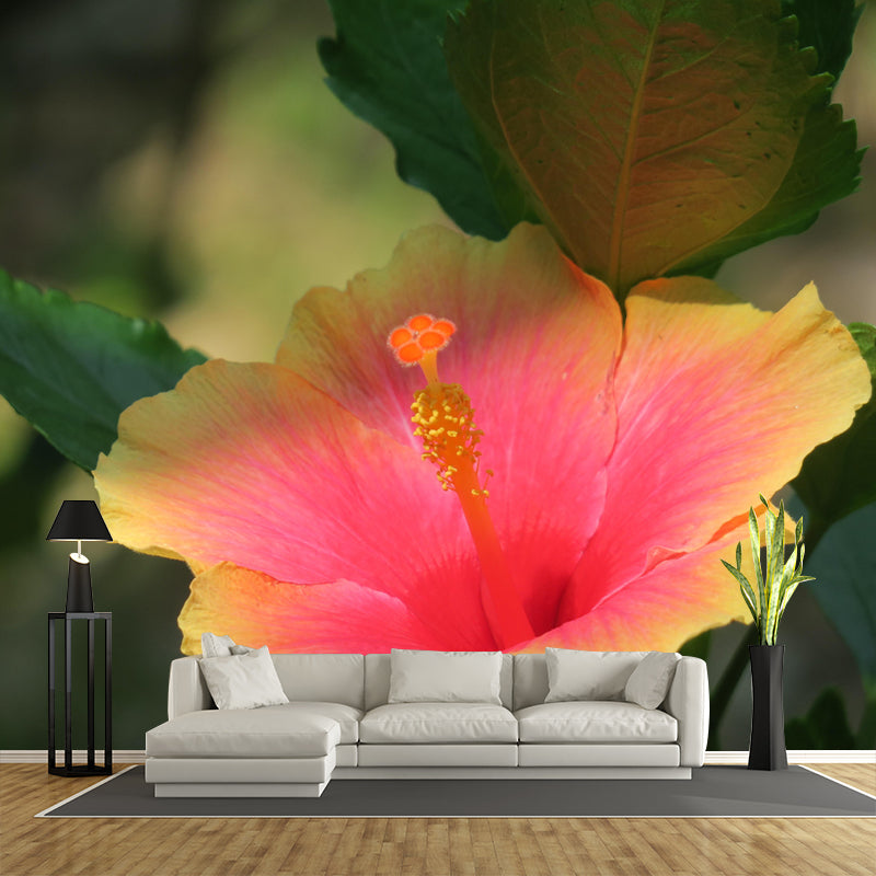 Customized Blooming Hibiscus Mural Wallpaper Contemporary for Guest Room Decor