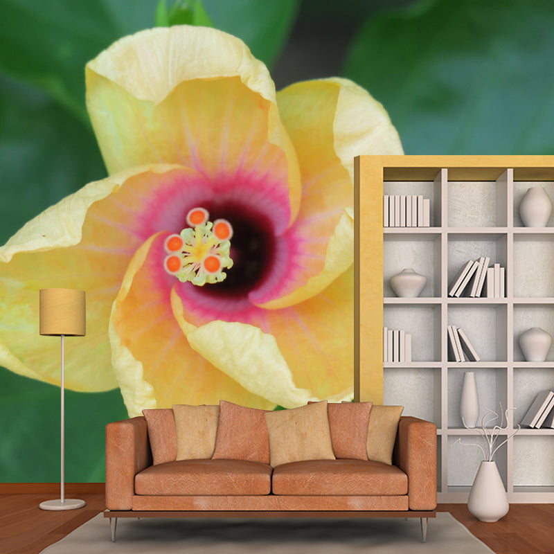 Customized Blooming Hibiscus Mural Wallpaper Contemporary for Guest Room Decor