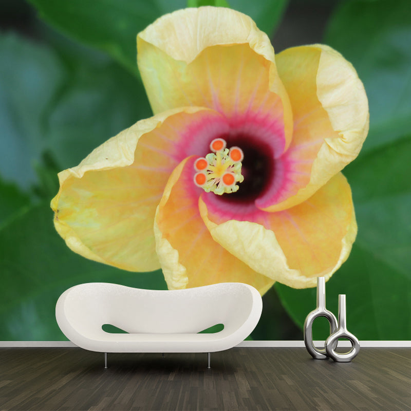 Customized Blooming Hibiscus Mural Wallpaper Contemporary for Guest Room Decor