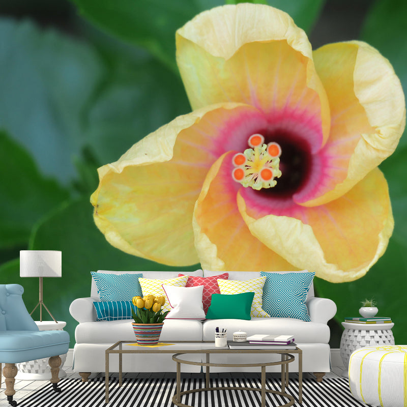 Customized Blooming Hibiscus Mural Wallpaper Contemporary for Guest Room Decor